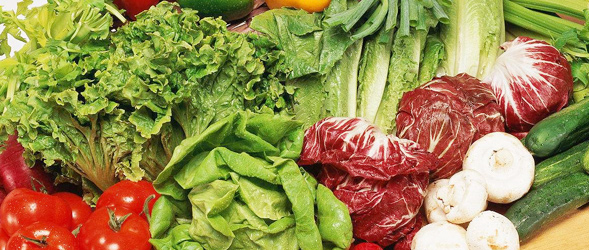 关于饭堂承包的具体分析