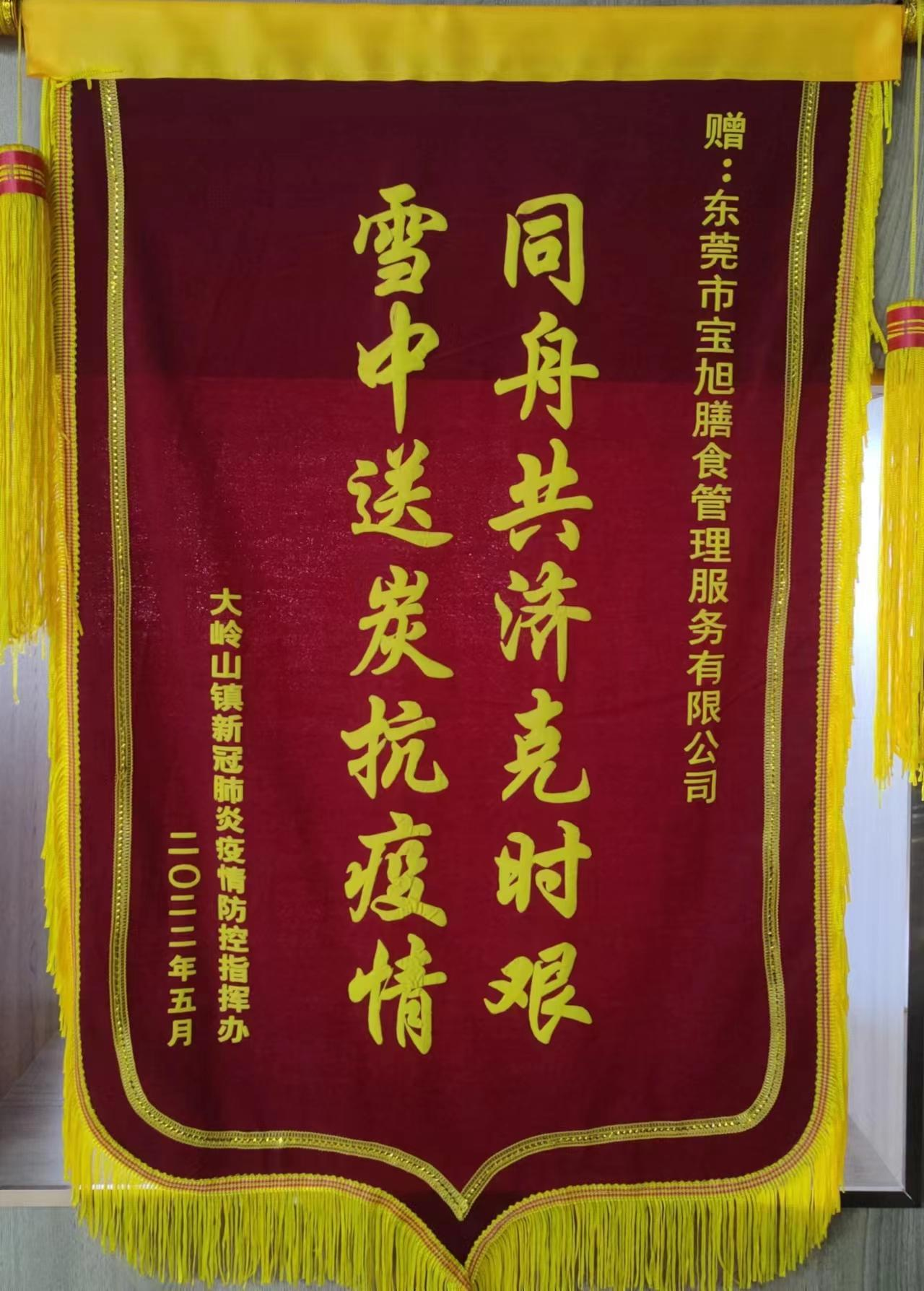 大岭山疫情防控指挥办颁发-雪中送炭锦旗