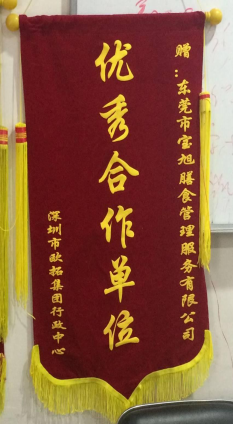 甲方赠送锦旗-优秀合作单位